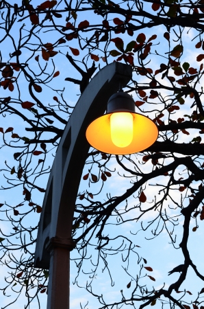 Vintage lamp at twilightの写真素材