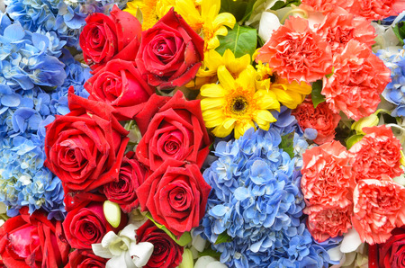 Beautiful flowers backgroundの写真素材