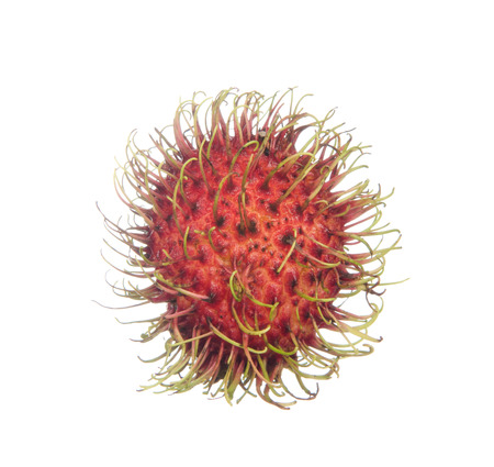 Rambutan isolated on white backgroundの写真素材