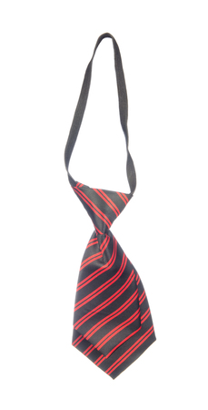 Necktie isolated on white backgroundの写真素材