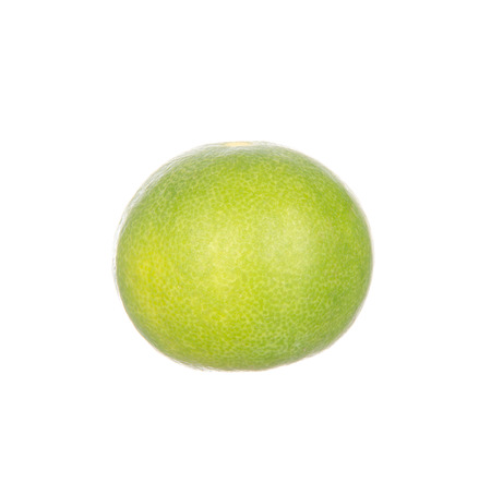 Lime isolated on white backgroundの写真素材