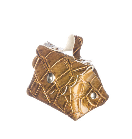Golden leather bag isolated on white backgroundの写真素材