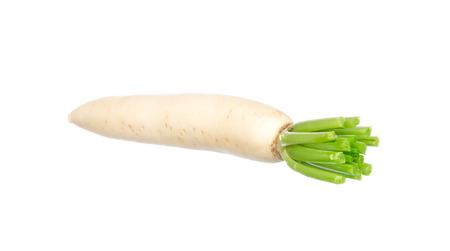 Chinese radish isolated on white backgroundの写真素材