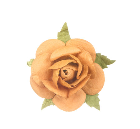 Artificial brown flower isolated on white backgroundの写真素材