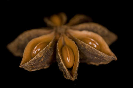 anais seeds  isolated on black backgroundの写真素材