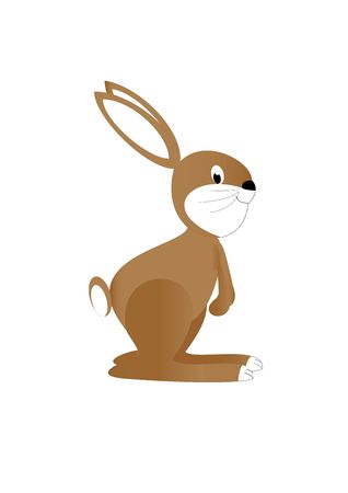 Rabbitの写真素材