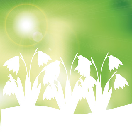 Green and yellow spring background with sunlightのイラスト素材