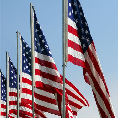 American Flags On Memorial Day - a square imageの写真素材