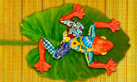 Painted frog on lillypad with bamboo backgroundの写真素材