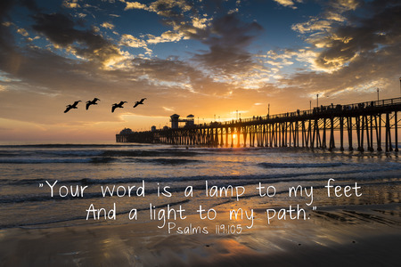Psalms 119:105: "your word is a lamp to my feet and a light to my path". Pelicans at Oceanside Pier. Oceanside is 40 miles North of San Diego, California.の写真素材