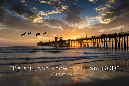 Pelicans at Oceanside Pier  Oceanside is 40 miles North of San Diego, California の写真素材