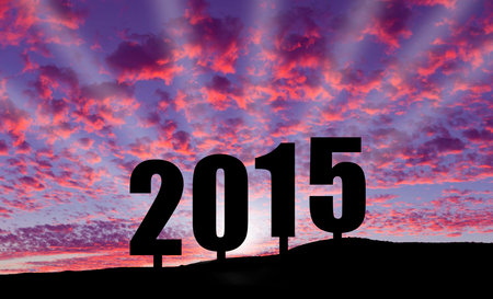 Celebrating 2015の写真素材