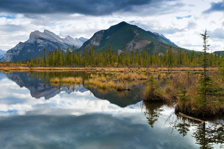 A view across Vermilion Lakes towards Mount Rundle and the town of Banff. Banff National Park, Alberta, Canada.の写真素材