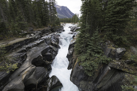 Numa Falls, Kootenay National Park, Canada.の写真素材