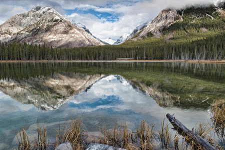 Reflective Buller Pond in the Canadian Rockies, Alberta, Canada.の写真素材