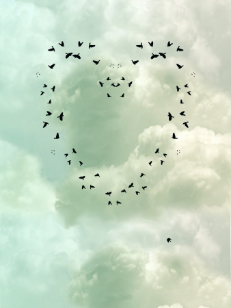 bird heartの写真素材