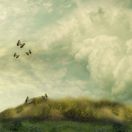 Fantasy Landscape in the field with butterflyの写真素材