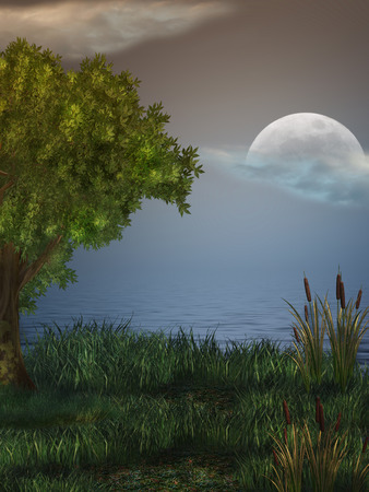 Fantasy Landscape in a lake with big treeの写真素材