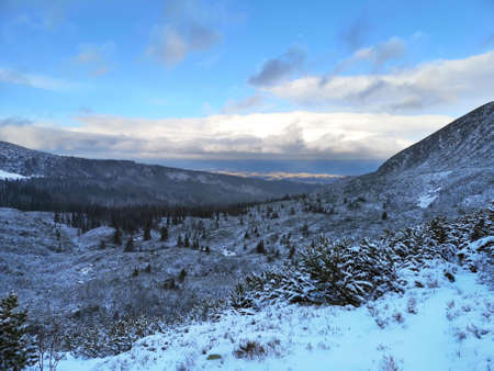 A chilly winter day in Tatra Mountains, Poland. The hills overgrown with mountain dwarf pines are covered with a thick layer of fresh snow.の写真素材