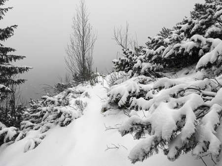 A snowy trail in Tatra National Park, Poland. The view of the slope after a heavy snowstorm.の写真素材