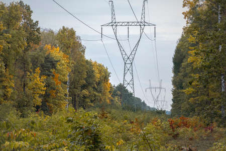 Power lines in Kampinos National Park, Poland. Colorful foliage during warm golden autumn.の写真素材