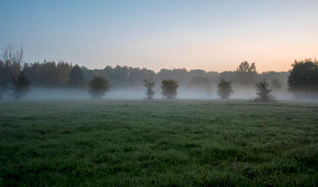 A misty autumnal morning on the outskirts of Kampinos National Park. Blurry silhouettes of the trees and bushes are barely visible due to thick fog which has started to disperse as the sun rises.の写真素材
