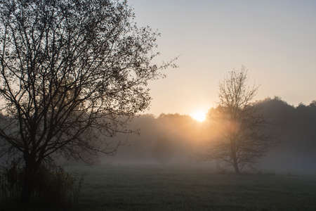 Sun is rising over the forest and dispersing the fog. A cold morning in a meadow near Warsaw, Poland. The silhouettes of the trees are blurred due to the mist which is rising over the field.の写真素材