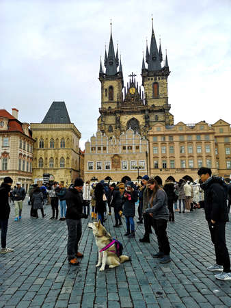 Prague, Czechia - January 12th 2019: Church of Our Lady before TÃ½n, or ChrÃ¡m Matky BoÅ¾Ã­ pÅed TÃ½nem. Tourists in the square are taking picture of Alaskan Malamute dog with a pink backpack.のeditorial素材