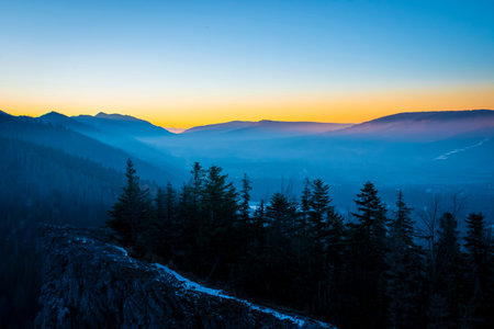 Fog in the valley and colorful sunset over the mountain ridge. Dark coniferous forest growing on a...