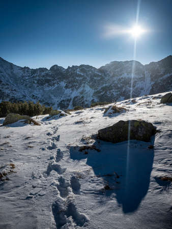 Footsteps in fresh snow, High Tatra Mountains, Poland. Sun is shining over the valley of Five Lakes. Selective focus on the pattern of the steps, blurred background.の写真素材