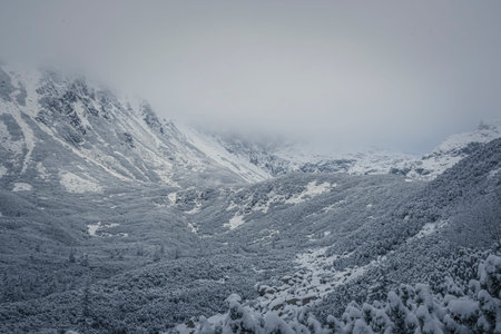 High Tatra peaks in clouds, Poland. Winter in a valley. Trees and bushes in snow. Overcast day in...