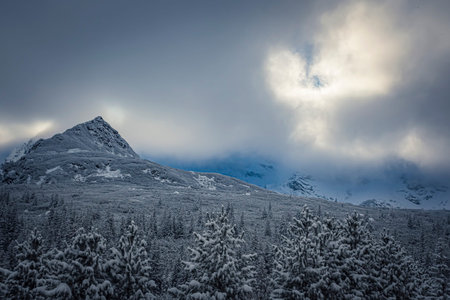 Cold weather in Tatra Mountains, Poland. Dark overcast sky, snow on the rocks and peaks, evergreen...