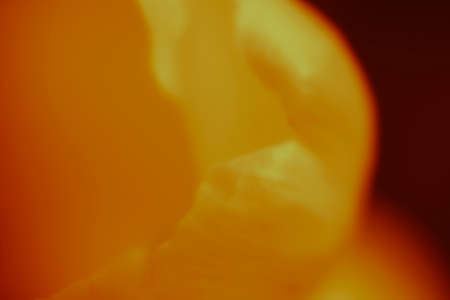 Yellow and red abstract wallpaper. Blurry shapes and lines, dark creative concept, soft bokeh effect. No selective focus, blurred background.の写真素材