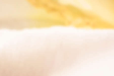 Bright yellow floral background. Blurry colorful texture, soft abstract pattern. Defocused copy space template. No selective focus, unfocused background.の写真素材