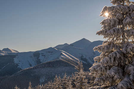 Snowy peaks of Western Tatras in winter. Sun high over the Carpathian ridge, clear cloudless sky, breathtaking panorama. Selective focus on the range, blurred background.の写真素材