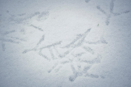 Duck footprints on snow. Wild mallard fin pattern on frozen river. Textured water crystals and fauna concept. Selective focus on the details, blurred background.の写真素材