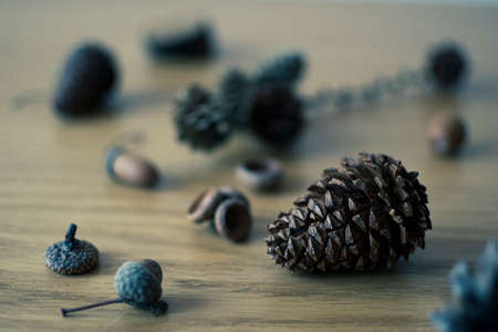 Nature harvest on a wooden table. Dark dried pinecones with textured surface. Small acorns decoration. Selective focus on the details, blurred background.の写真素材