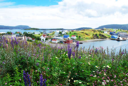 Trinity in Newfoundlandの写真素材