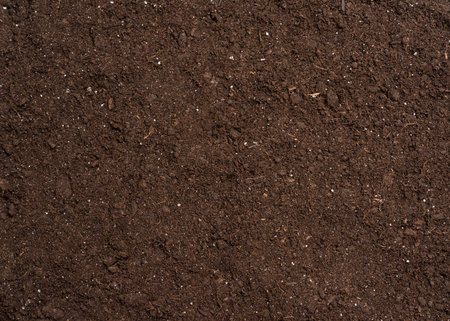 Earth ground texture macro photography pattern background. Textured ground surface as background,...