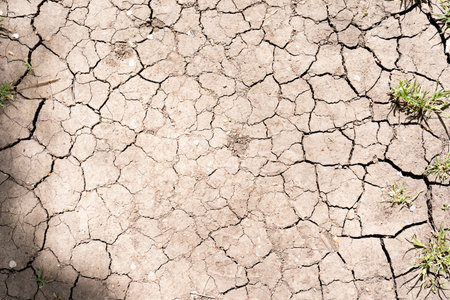 The texture of cracked earth for background, texture of cracked earth, The ground has cracks in the...