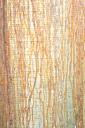 Rusty White Metal Texture, Rust of metals Corrosive Rust on old iron white Use as illustration for...