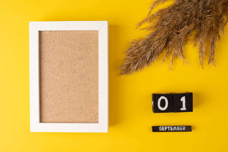 Wooden calendar with 1st September and pampas dry grass on yellow background with empty white frameの写真素材