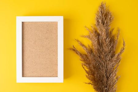 Reed pampas grass on a yellow background with white frame. frame background with copy space and flower of fluffy reed pampasの写真素材