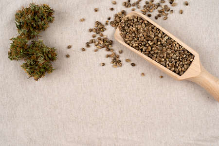 Hemp seeds in wooden spoon on brown wooden table. medical marijuana concept, CBD cannabis OIL, with copy space for textの写真素材