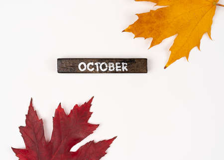 Autumn leaves falling isolated on white background with October month concept, Fall frame autumn leaves in Octoberの写真素材