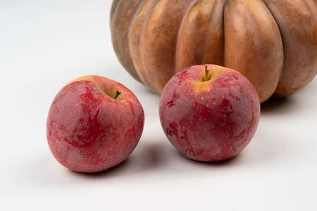 Thanksgiving Background with orange pumpkins, apples on white backdrop. Autumn Pumpkins. Flat lay with two applesの写真素材