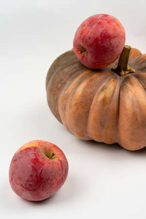 Red apple with pumpkin on white background, close up view. selective focus, macro, autumn harvestの写真素材