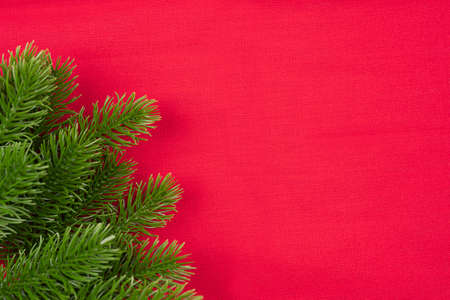 Spruce branch on red background. Place for text. Christmas composition for greeting cardの写真素材