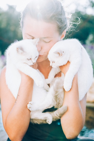 Beautiful young woman holds two white cats in her arms and kisses them in the sun lightの写真素材