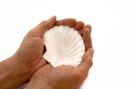 Man deems hand one seashell.